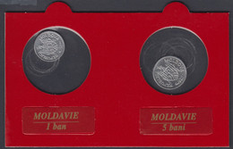 MDAX01 - MOLDAVIE - SET DE 2 MONNAIES - 1 Ban 1996 Et 5 Bani 1996 - Moldova