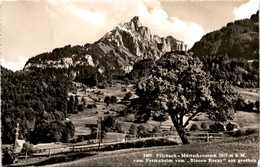 Filzbach - Mürtschenstock Vom Ferienheim Vom "Blauen Kreuz" Aus Gesehen (2495) * 5. 9. 1955 - Filzbach