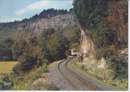 BELGIQUE - HAN SUR LESSE  - LE TRAIN TRAM  - AUX PIEDS DES ROCHERS DE FAULE - Rochefort