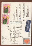 Algerie Carte Postale De 1974 Avec Affiche. Cactus - Cactus
