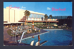 Piscine - Schwimmbad   - Swimmingpool  Swimming Pool - Stardust, Las Vegas, Nevada, USA - Schwimmen
