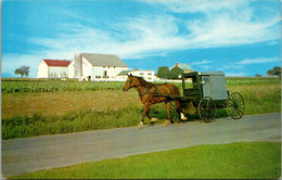 Pennsylvania Amish Country The Amish Family Carriage - Lancaster