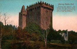 Cork - Blarney Castle - Cork