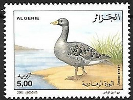 Algeria - MNH ** 2001 :  Greylag Goose -   Anser Anser - Oche