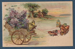 ⭐ France - Carte Postale - Papillon - Calèche - Fantaisie ⭐ - Papillons