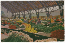 Aalsmeer - Interieur Bloemenveiling / Interior Flower Auction  - (Nederland/Noord-Holland) - Aalsmeer