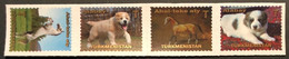 Turkmenistan 2020 Definitives Fauna Turkmenian Breeds Of Horses And Dogs Strip Of 4 Stamps Mint - Turkmenistán