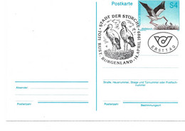 2162c: Österreich 1989: Postkarte ANK 393, Storch, FDC- Stempel 7071 Rust (ANK 20.- €) - Neusiedlerseeorte