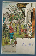 ⭐ France - Carte Postale - Paul Kauffmann - Plantation Du Sapin De Mai - Usages Et Costumes D'Alsace ⭐ - Kauffmann, Paul