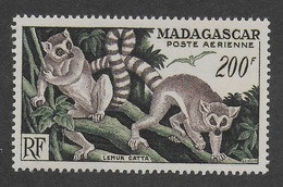 MADAGASCAR 1954 YT PA 77** - LEMURIENS - Luftpost