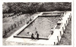 WODECQ - Vakantiecentrum Der Christelijke Mutualiteiten - Zwemkom - Verzonden 1967 - - Ellezelles