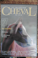 Neuf - DVD L'Univers Du Cheval N°7 Le Criollo - L'alezan - La Distance De Fuite - L'âge - Neuf Sous Cellophane - Documentaire