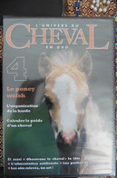 Neuf - DVD L'Univers Du Cheval N°4 Le Poney Welsh - Harde - Calculer Le Poids Du Cheval - Neuf Sous Cellophane - Documentari