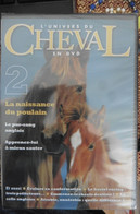 Neuf - DVD L'Univers Du Cheval N°2 La Naissance Du Poulain - Pur-sang Anglais - Sauter - Neuf Sous Cellophane - Documentari