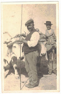 CARTE PHOTO BROMURE AGRICULTEURS AVEC ATTELAGE DE BOEUFS A LOCALISER OCCITANIE HAUTES PYRENEES ARREAU ?? - Attelages