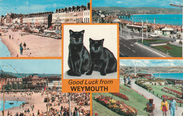 WEYMOUTH MULTI VIEW.  LUCKY BLACK CATS - Weymouth