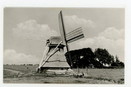 E335 - Workum Molen De Snip - Molen - Moulin - Mill - Mühle - Workum