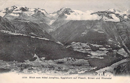 CPA - SUISSE - Blick Vom Hôtel Jungfrau, Eggishorn Auf Fiesch, Ernen Und Rhonetal - Horn