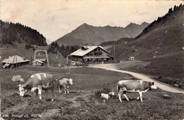 CPA - SUISSE - BRETAYE - Chalet - Vaches - Montagne - Mon