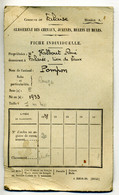 1933 - Fiche Individuelle De Classement Pour Chevaux, Juments, Mulets Et Mules - Cheval Nommé POMPOM - Chevaux