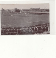G.B. / Cricket Postcards / Surrey / The Oval - Unclassified