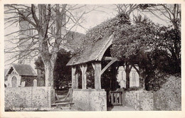 CPA - ENGLAND - RUSTINGTON - The Church - Eglise - Other & Unclassified