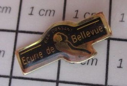 1210 Pin's Pins / Beau Et Rare / THEME : MUSIQUE / ECURIE DE BELLEVUE BAR DANSANT - Musique
