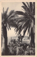 CPA - 06 - Nice - Vue Entre Les Palmiers - - Mehransichten, Panoramakarten