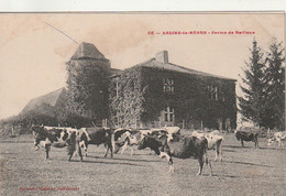 ***  64  ***    SALIES DE BEARN  Ferme De Bailleux - Feuillets Décollés - Sinon TTB - Fermes