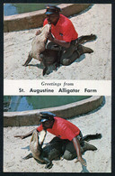 St. Augustine Alligator Farm, 999 Anastasia Blvd, St. Augustine -  Used 1972  - 2 Scans For Condition.(Originalscan !!) - St Augustine