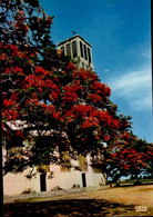 POINTE-NOIRE   ( CONGO )   LA CATHEDRALE SOUS LES FLAMBOYANTS EN FLEURS - Pointe-Noire