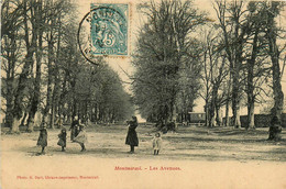 Montmirail * Vue Sur Les Avenues * Villageois - Montmirail