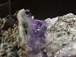 Amethyst ( 7 X 4 X 4 Cm.) - Capurru Quarry - Osilo - Sassari Prov. - Sardegna - Italia - Minerals