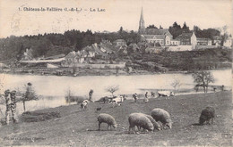 CPA - 37 - CHATEAU LA VALLIERE - Vaches Et Moutons - Le Lac 1910 - Autres & Non Classés