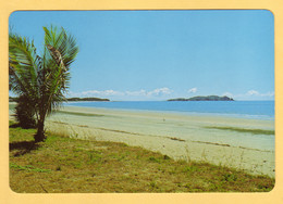 Beach At Seaforth (near Mackay) Towards Redcliffe Island - North Queensland, Australia - Far North Queensland