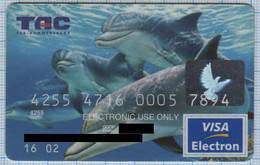 UKRAINE / Bank Card / TAS-Komerzbank. Visa Electron Fauna Dolphins 2000s - Credit Cards (Exp. Date Min. 10 Years)