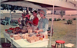 Pennsylvania Dutch Coumtry Roadside Produce Stand - Lancaster