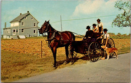 Pennsylvania Amish Country Young Man With Courting Buggy Meeting Friends - Lancaster