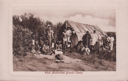 1910. Western Australia. POST CARD With Picture: West Australian Blacks' Camp.   - JF431649 - Storia Postale