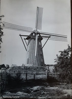 Malle - Scherpenbergmolen - Malle