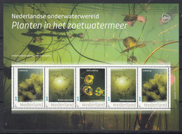 Nederland 2022 Onderwaterwereld : Planten In Het Zoetwatermeer, Lidsteng, Waterranonkel, Gele Plomp - Ungebraucht