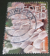 Nederland - NVPH - Xxxx - 2018 - Gebruikt - Beleef De Natuur - Plooivlieswaaiertje - Used Stamps