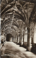 WORCESTER CATHEDRAL, Angel Cloisters (Publisher - Unknown) Date - Unknown, Unused - Worcester