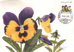 BUZIN / CARTE MAX / COB 3180 / PENSEE / VIOLETTE - VIOOLTJE - 1991-2000