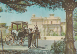 Maltese Cab Taxi Horse 3D Three Dimensional Old Malta Postcard - Malta