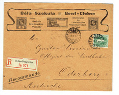 Switzerland 1903 Letter Chene Bougeries To Oderberg Art Deco Envelope (777) - Briefe U. Dokumente