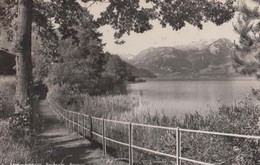 Sarnen Bridge Switzerland Stunning  Real Photo Postcard - Sarn