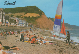 Sidmouth Gay Interest LGBT Devon Boat Beach Postcard - Non Classés