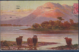 Sunset On The Leny, Nord-ouest De Callander, Vaches Et Coucher De Soleil Posté à Londres 1 Timbre 6.12.1907 - Stirlingshire