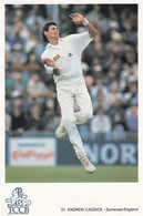 Andrew Caddick Somerset English International Cricket Player Postcard - Cricket